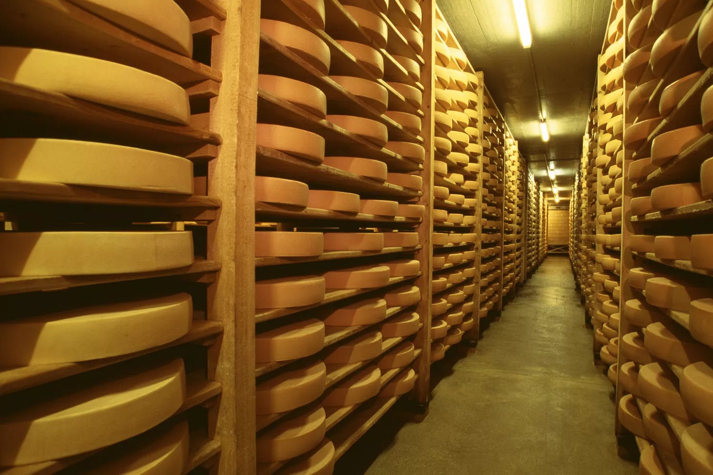 Many rows of cheese aging on shelves