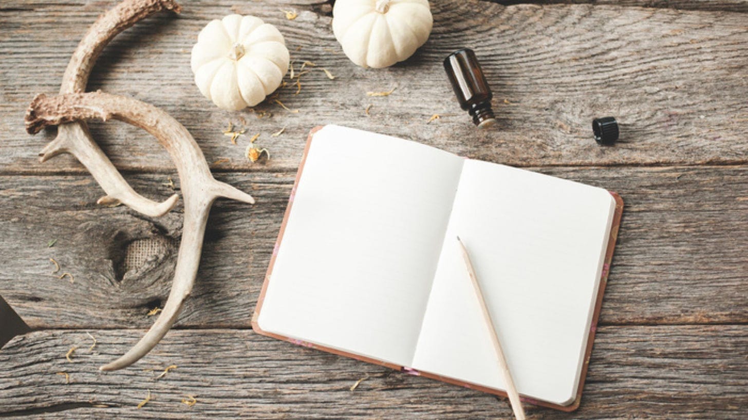 Open, blank notebook with a pencil resting on it, lying on a wooden table surrounded by two wooden sticks and two small, white pumpkins, and an essential oil bottle.