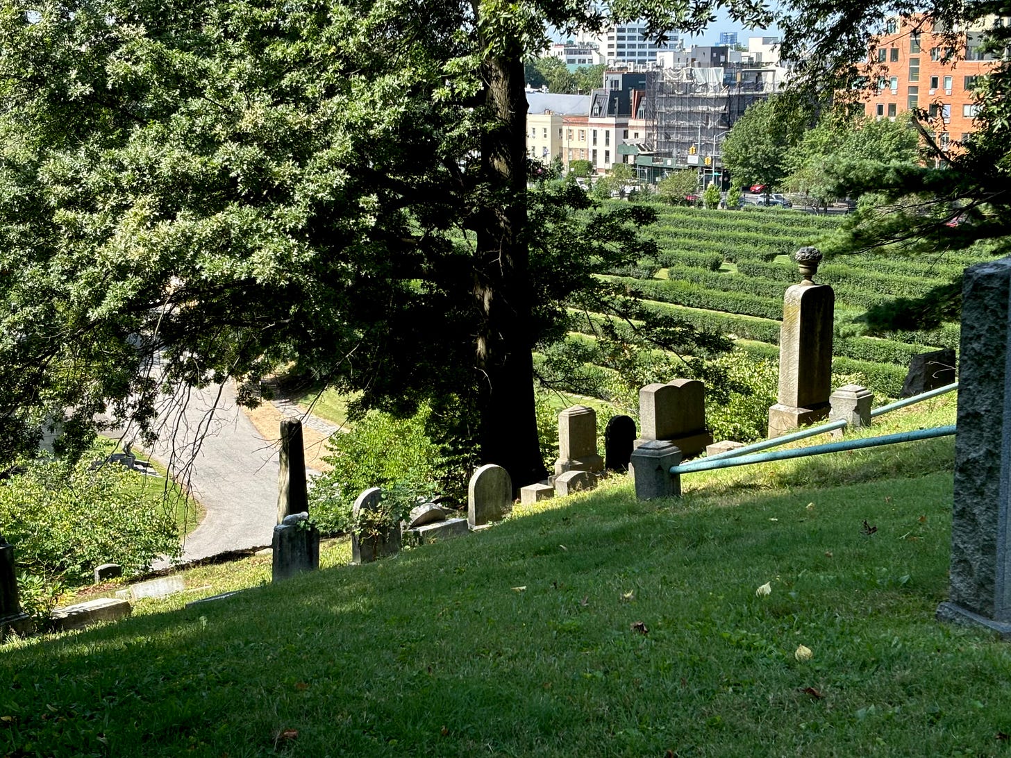 A steel slope in a cemetery. One side of the hill is stepped shrubbery. The other is headstones. The street is in the distance.