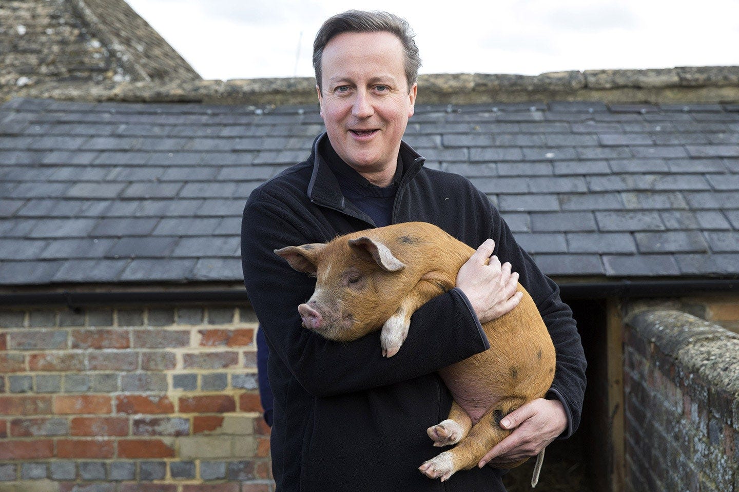 This image may contain David Cameron Human Person Animal Mammal and Roof