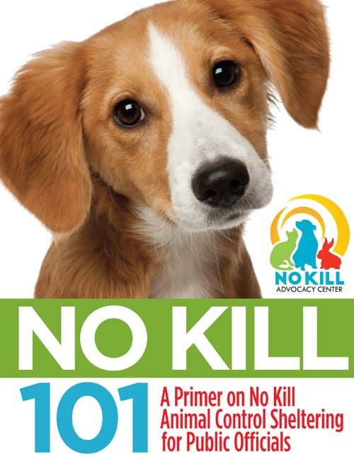 No Kill 101