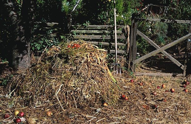 compost heap and red apples by pitch fork and fence - compost heap stock pictures, royalty-free photos & images