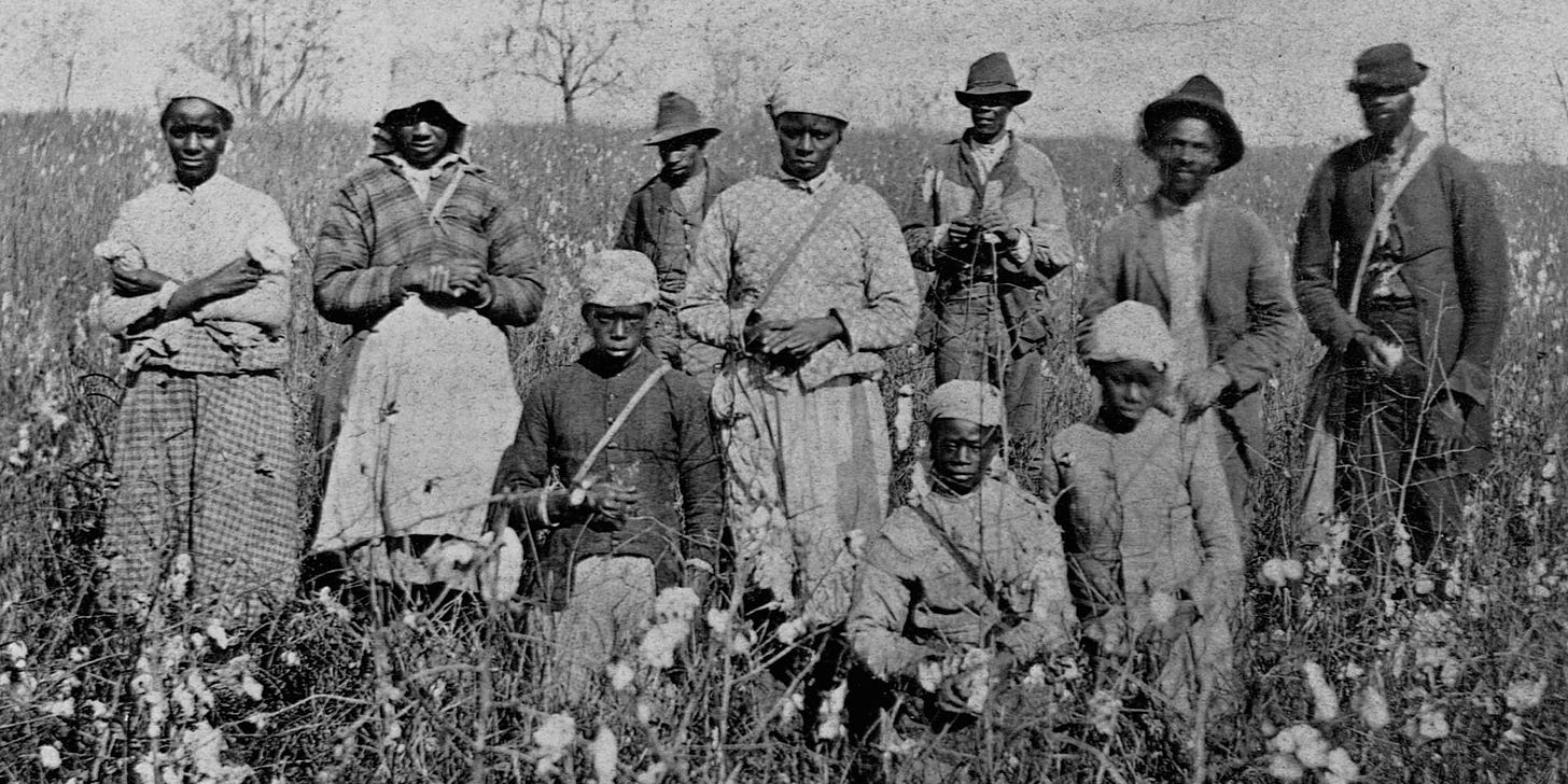 African American cotton pickers in Florida, 1879