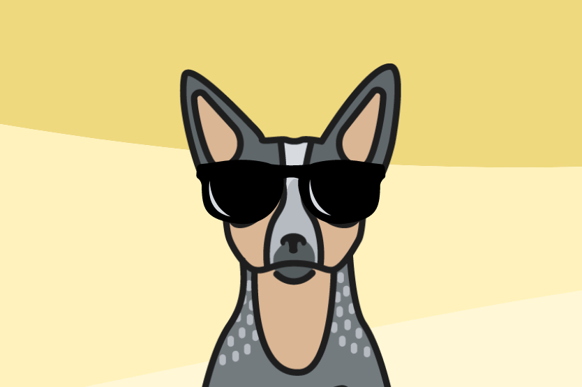 A graphic illustration of a blue heeler wearing dark sunglasses atop a yellow background to block out the haters