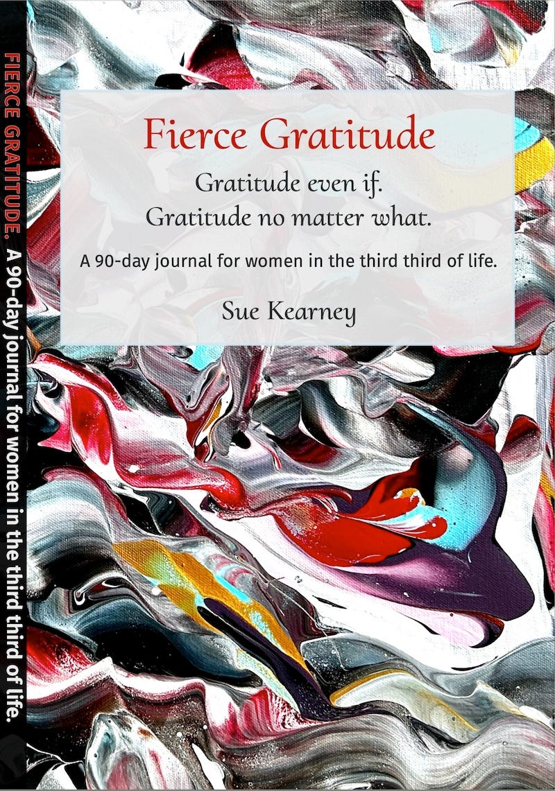 Fierce Gratitude journal cover
