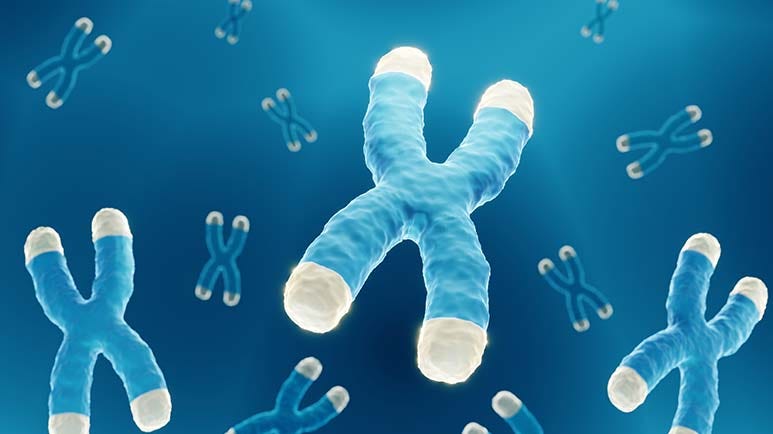 the telomere scam