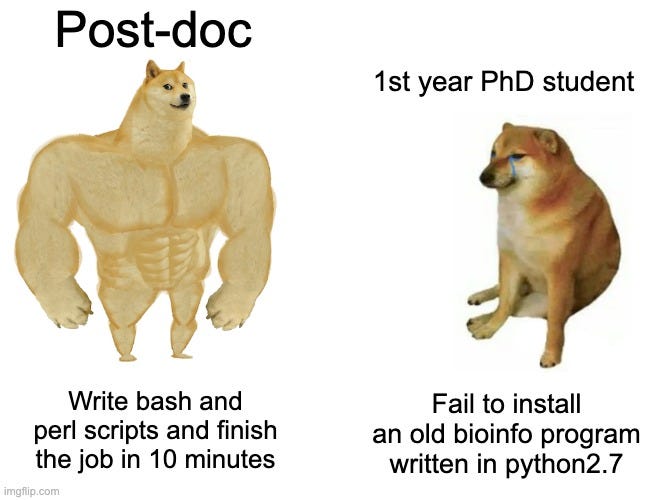 postdoc vs phd - Imgflip