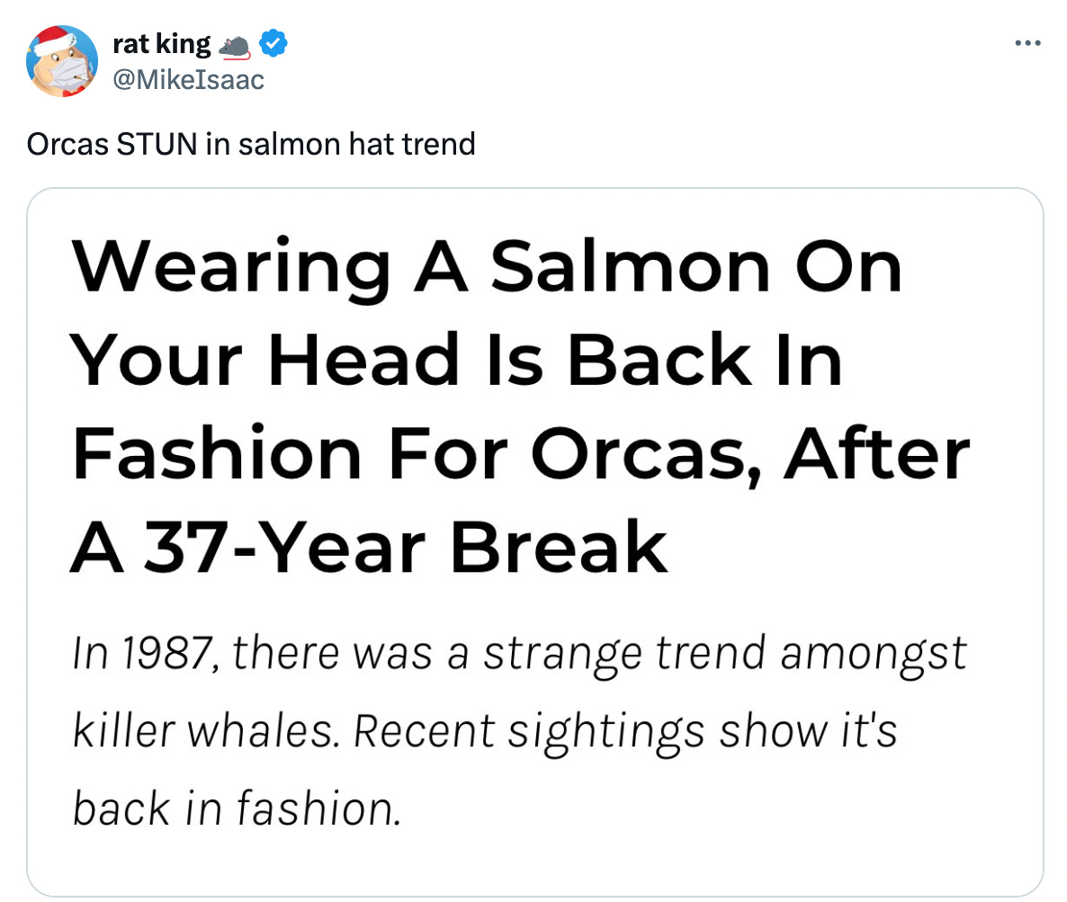 Tweet reading "Orcas STUN in salmon hat trend" with screenshot of article "Wearing A Salmon On Your Head Is Back In Fashion For Orcas, After A 37-Year Break"