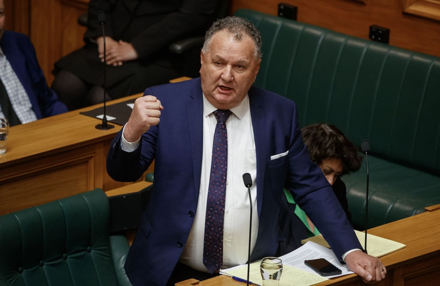 NZ First MP Shane Jones.  Photo / Mark Mitchell 