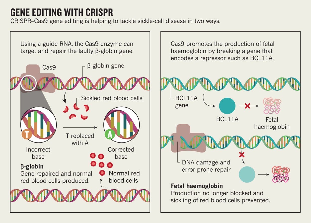 Gene therapy: Erasing sickle-cell disease | Nature