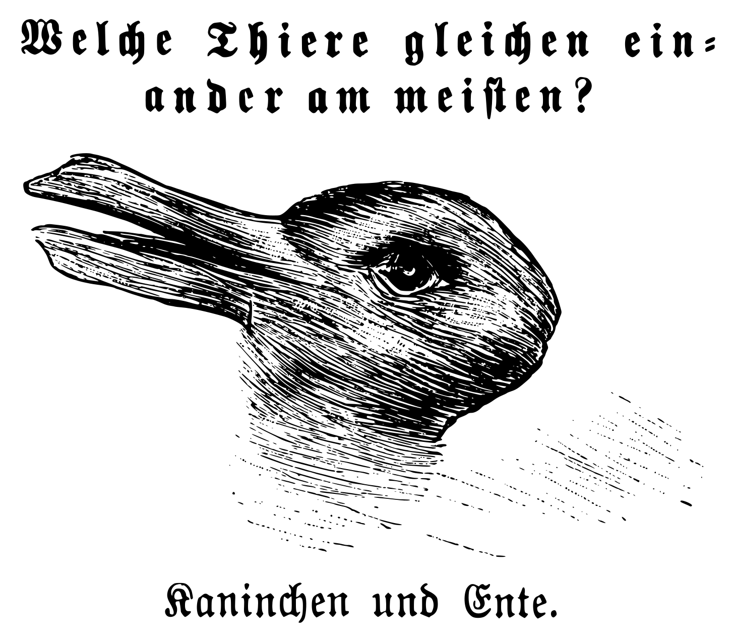 Rabbit–duck illusion - Wikipedia