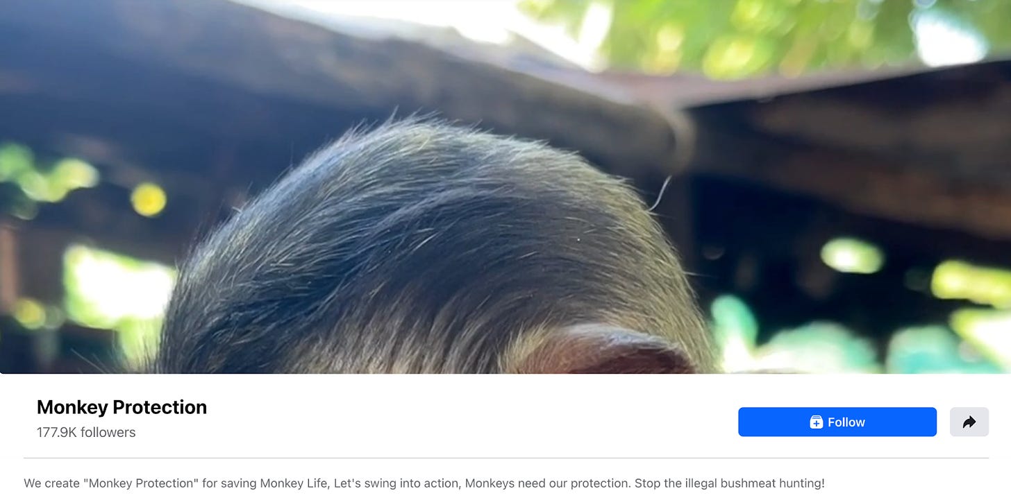 A group called "MONKEY PROTECTION" boasting 177,000 followers