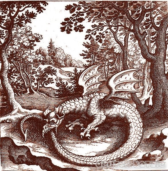 The Ouroboros The Ouroboros is an ancient symbol depicting a dragon/snake  swallowing its tail to form a circle. | Hybrid art, Medieval art, Ancient  symbols