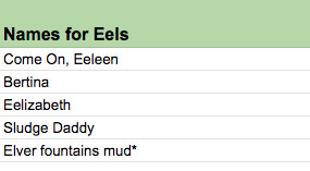 Names for Eels: Come on, Eeleen; Bertina; Eelizabeth; Sludge Daddy; Elver fountains mud*
