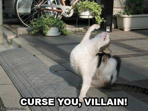 Curse you Villain - LOLCats | Funny pictures and videos of c… | Flickr