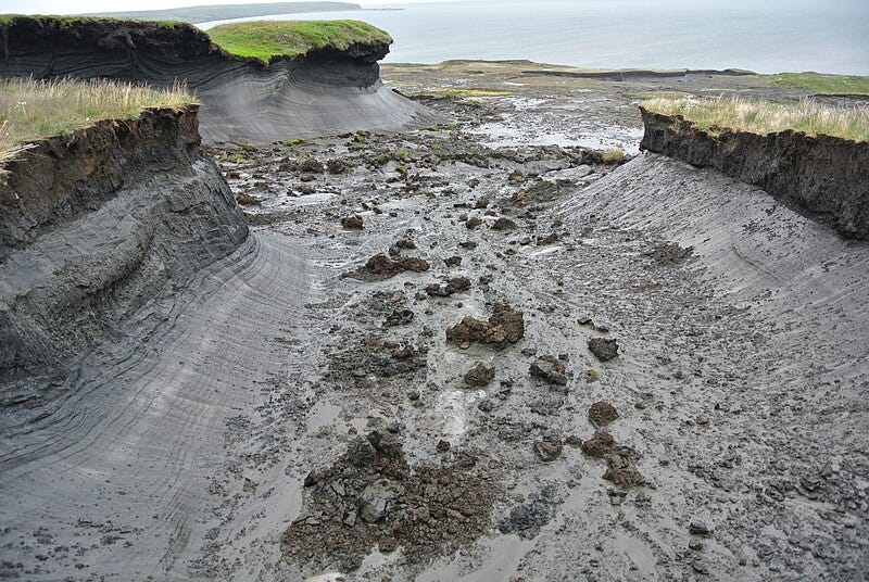 File:Permafrost in Herschel Island 002.jpg