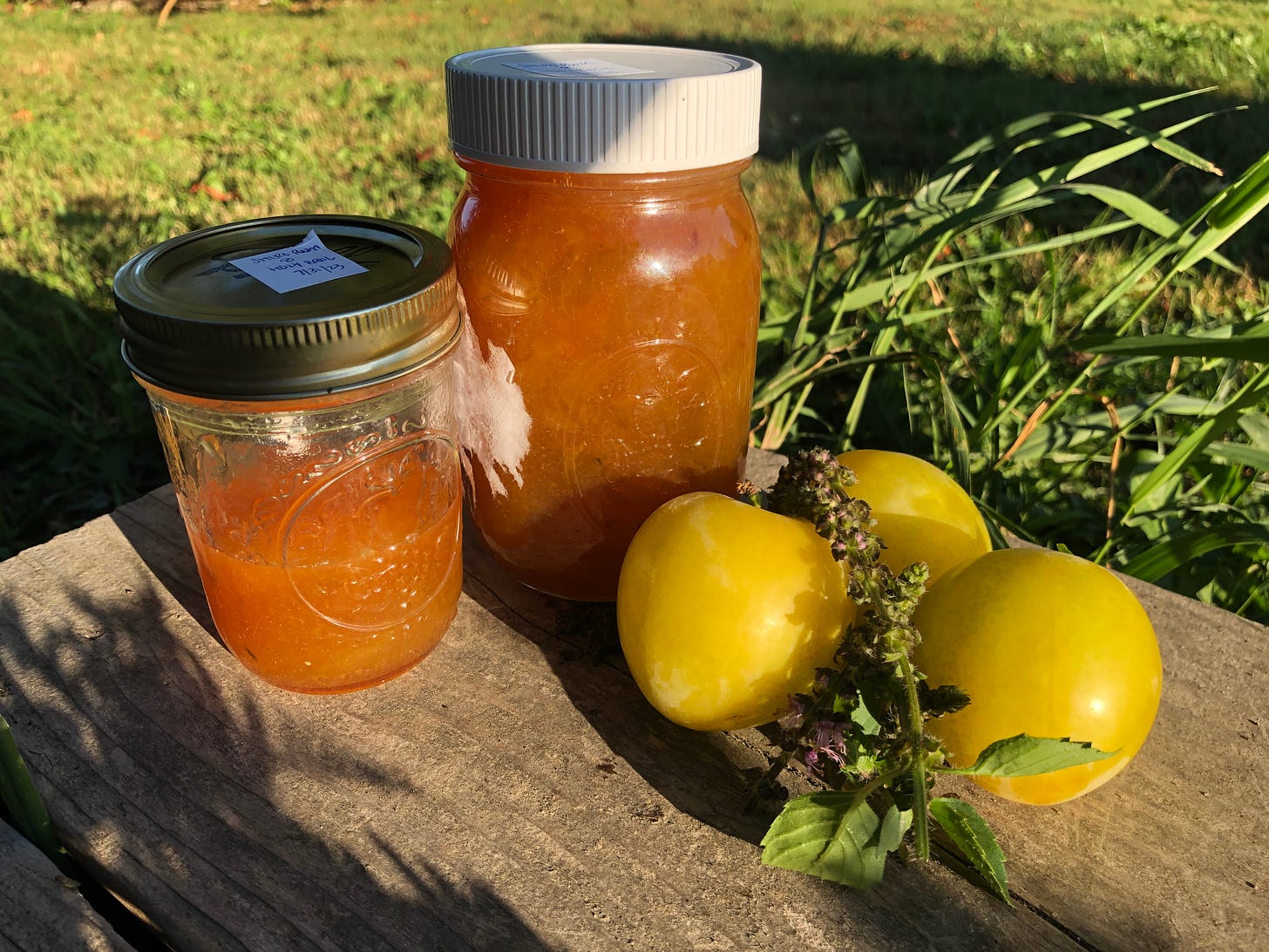 two beautiful jars of marigold-colored jam next to a pile of three shiro plums with a spring of tulsi (sacred/holy basil)