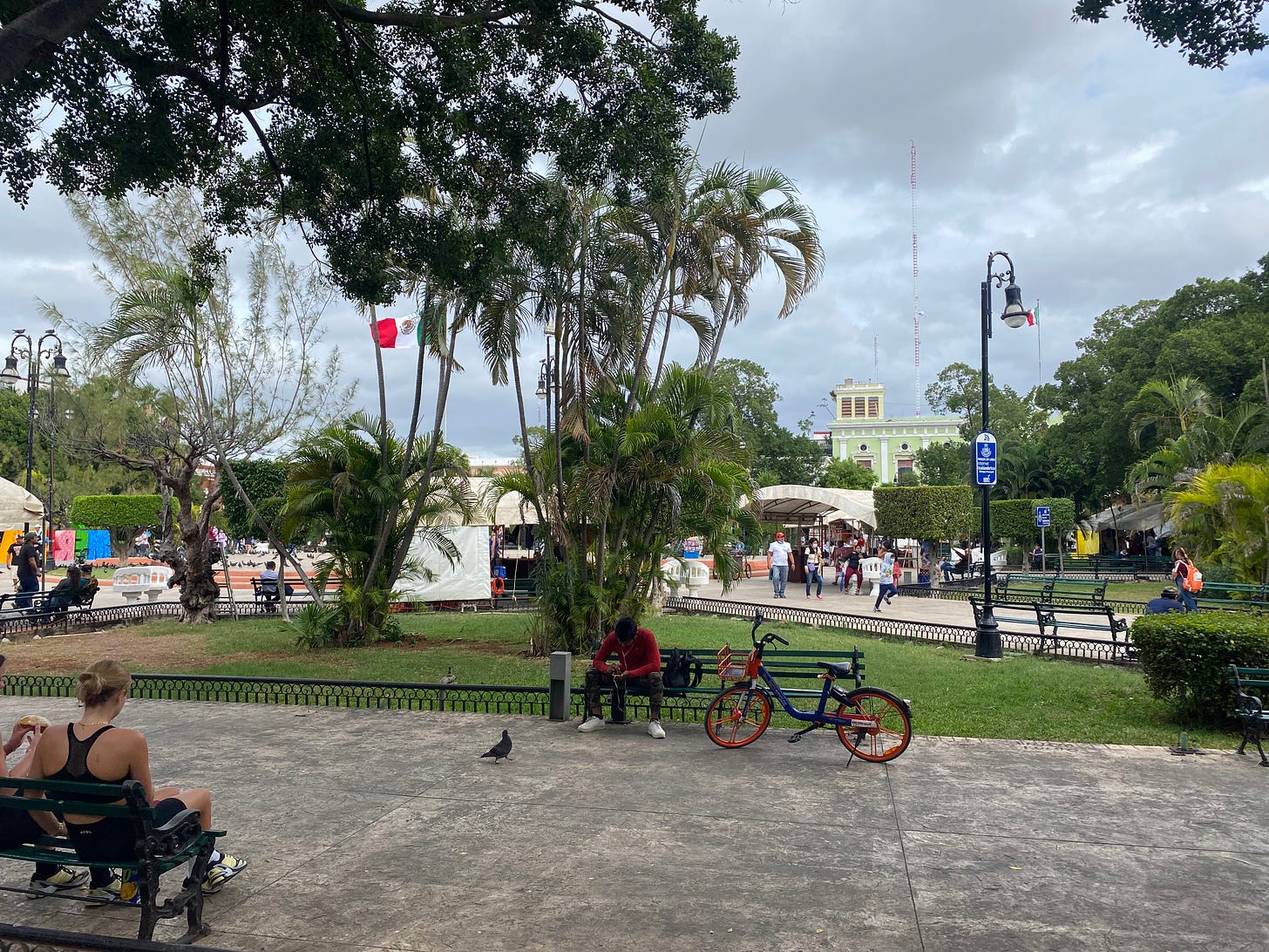 Trees and wide sidewalks of the Plaza Grande, Merida.