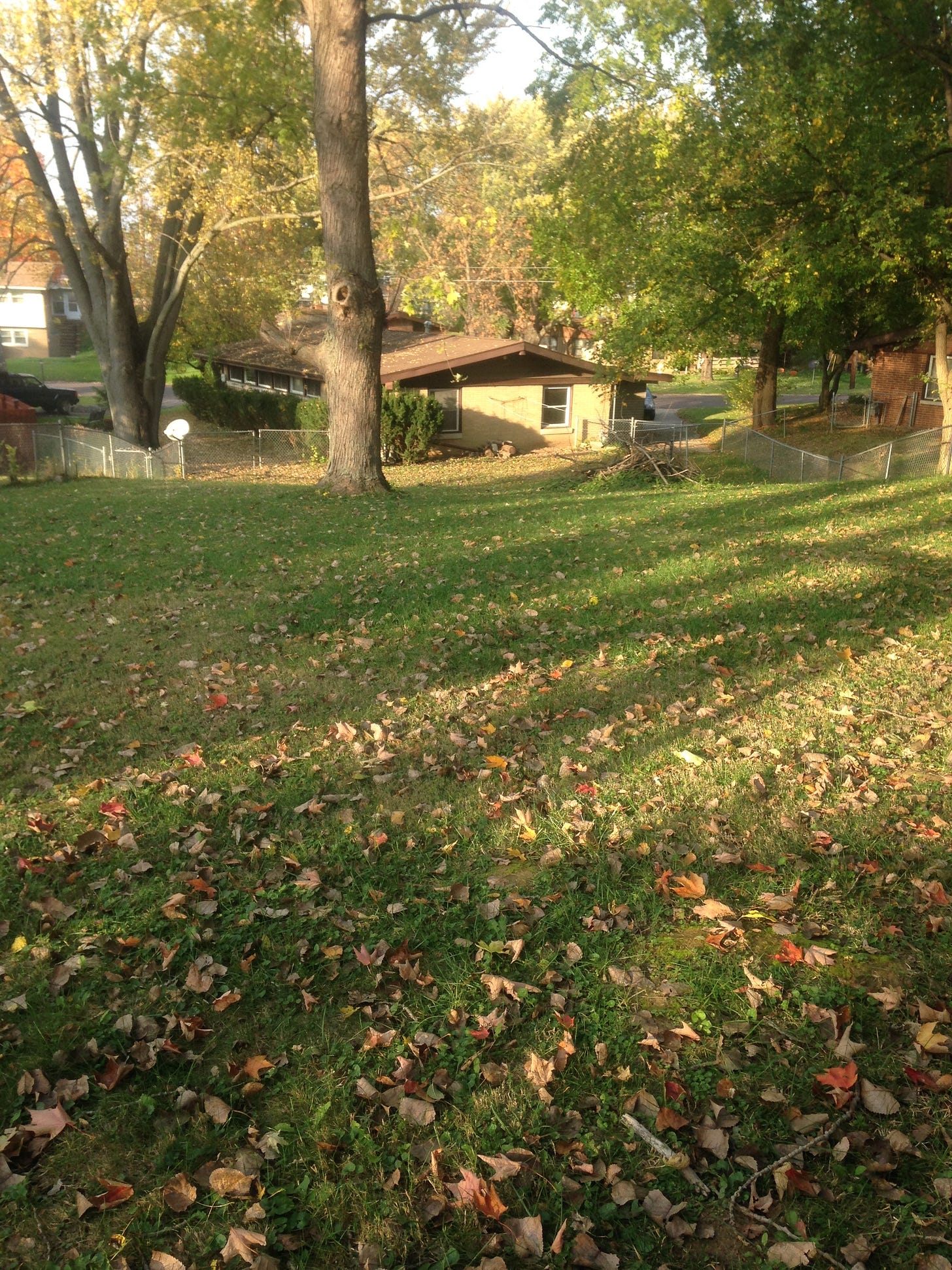 View of house from back