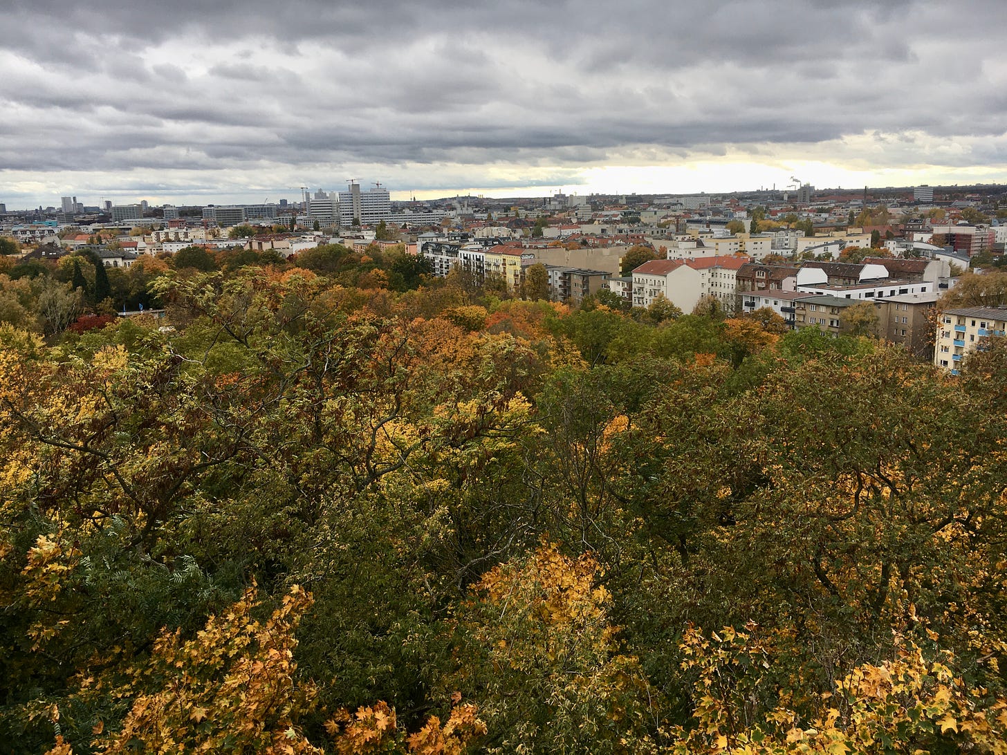 Im Vordergrund herbstlich gefärbte Bäume, dahinter der Blick auf die Stadt, darüber grau-bewölkter Himmel