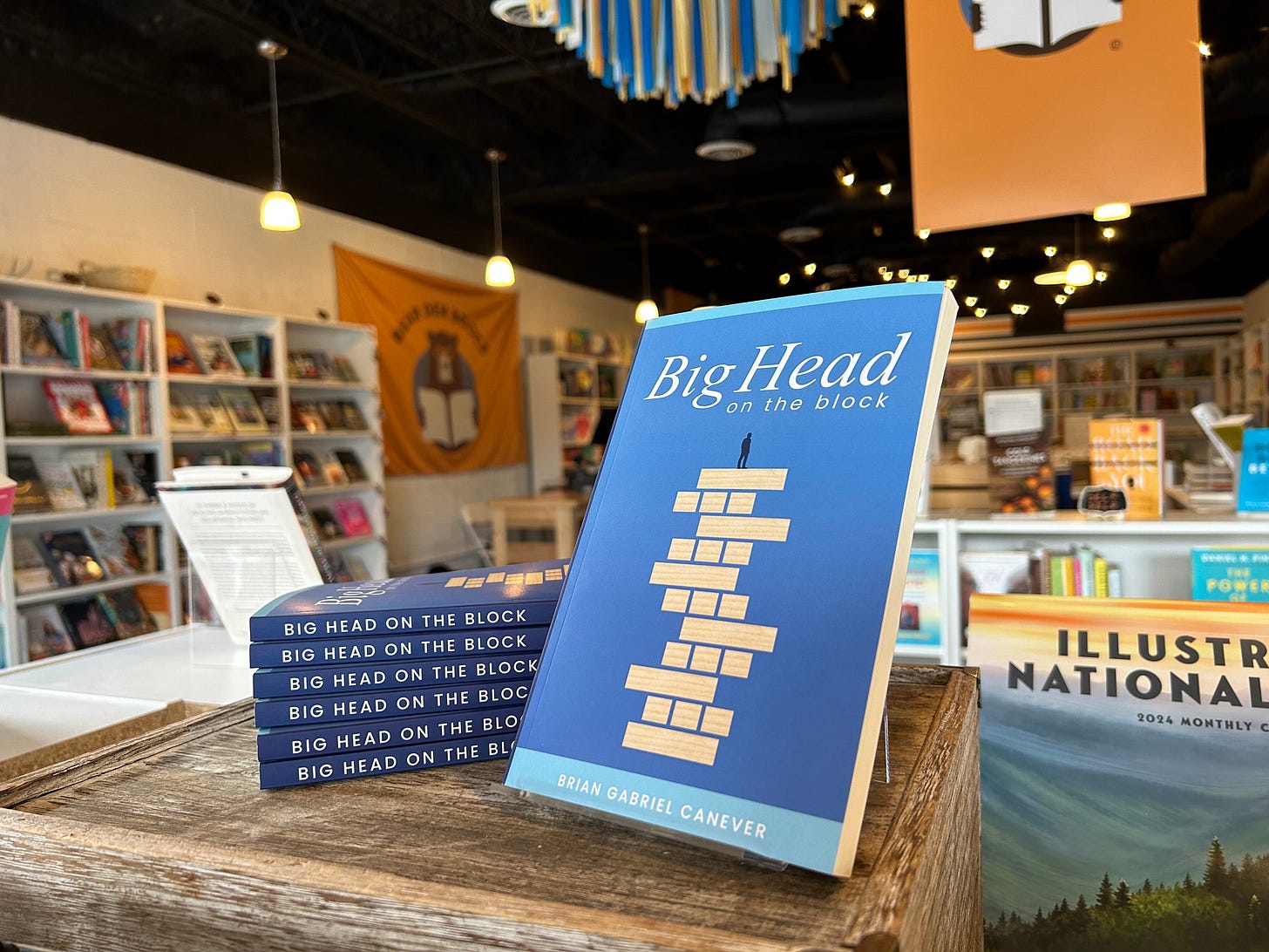 Copies of "Big Head on the Block" on display at Bear Den Books in Knoxville, Tennessee.