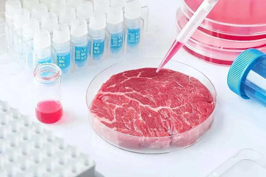 Izrael lesz az első ország, amely jóváhagyja a laboratóriumban termesztett marhahús értékesítését