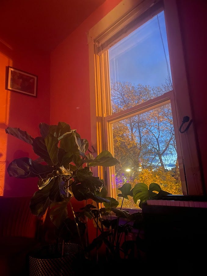 A photo of a darkening sky through a living room window. In the picture is also a collect of house plants and an electric keyboard.