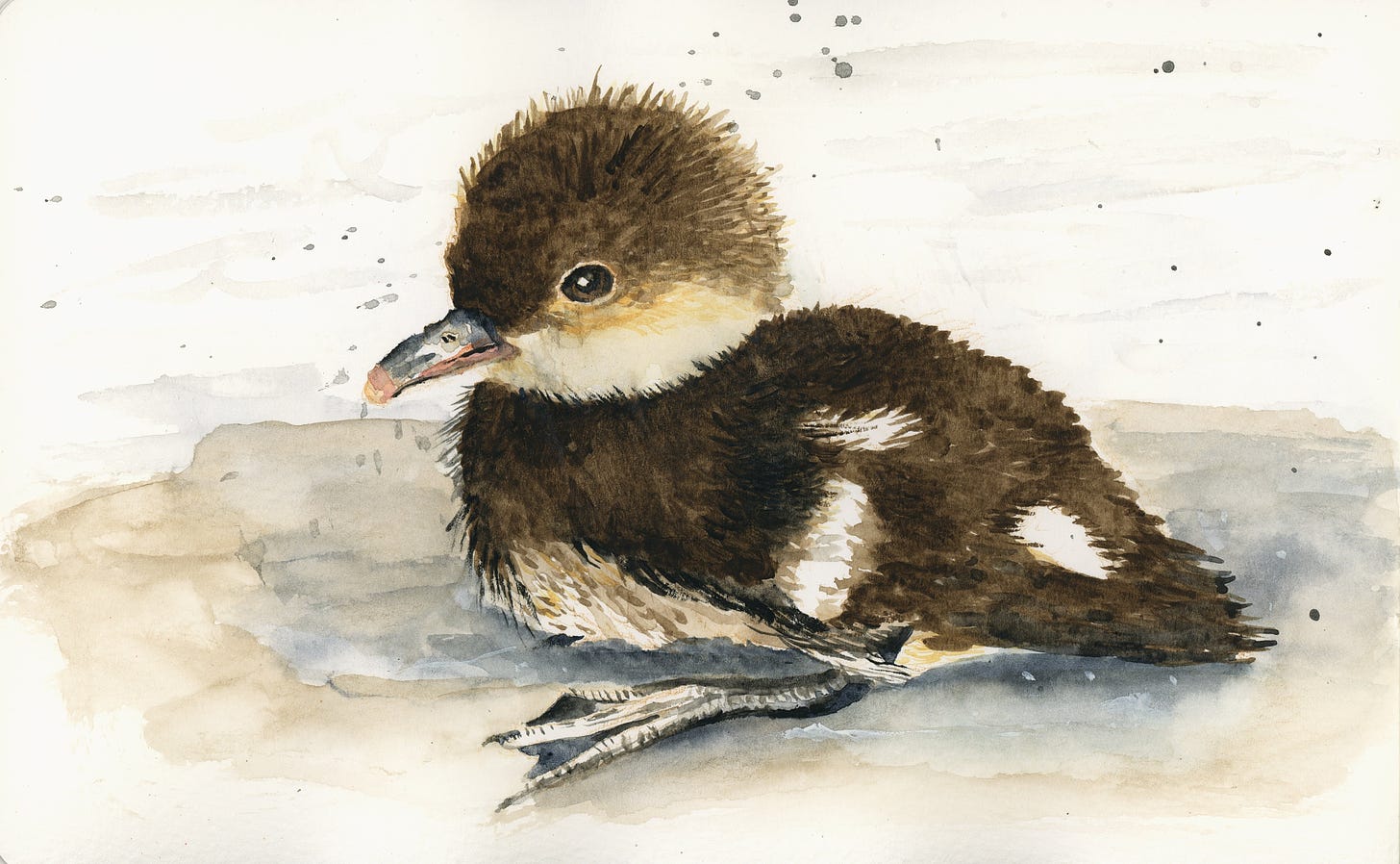 Watercolor of a baby duckling