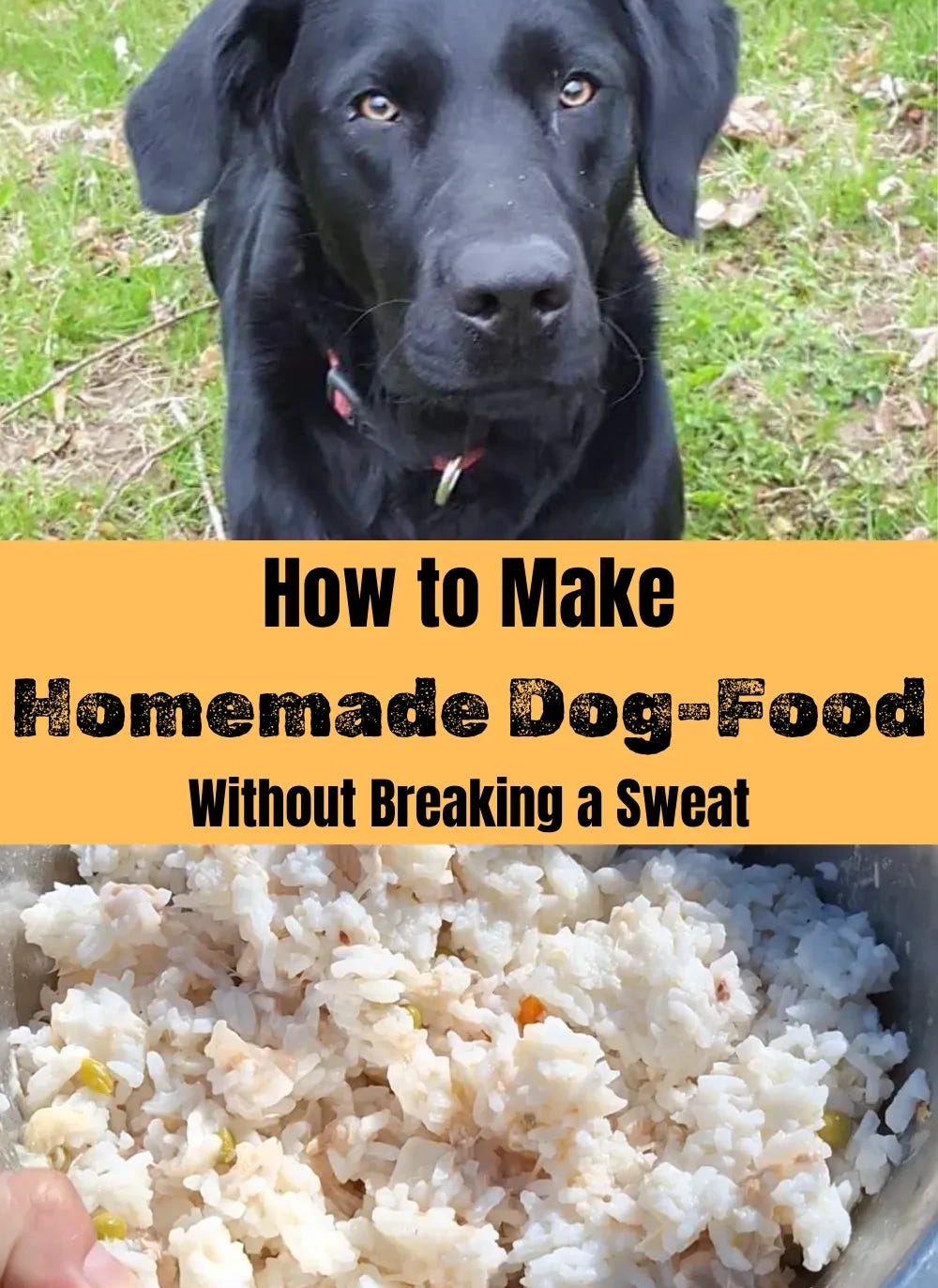 how to make homemade dog-food