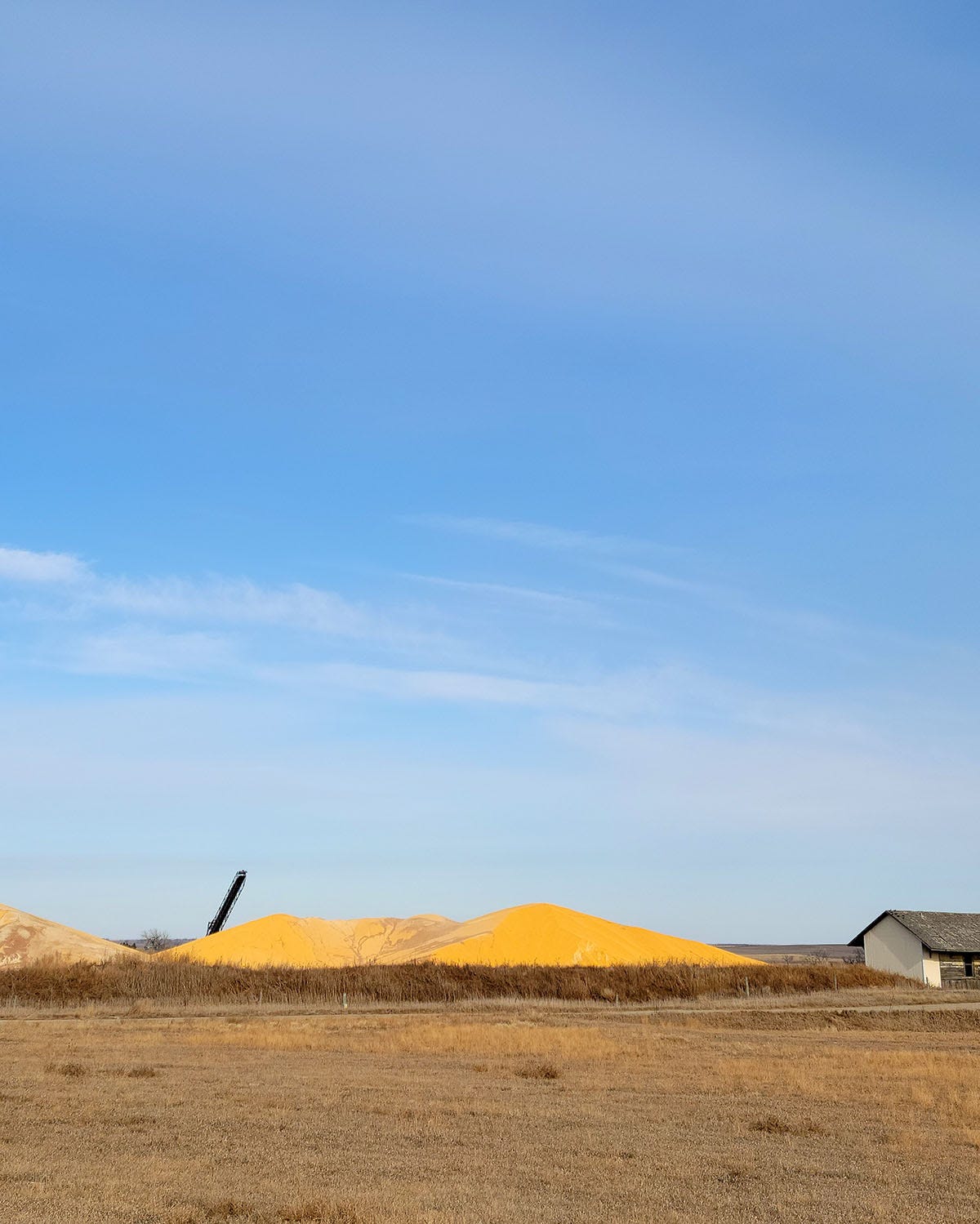 A mountain of corn in Nebraska. 