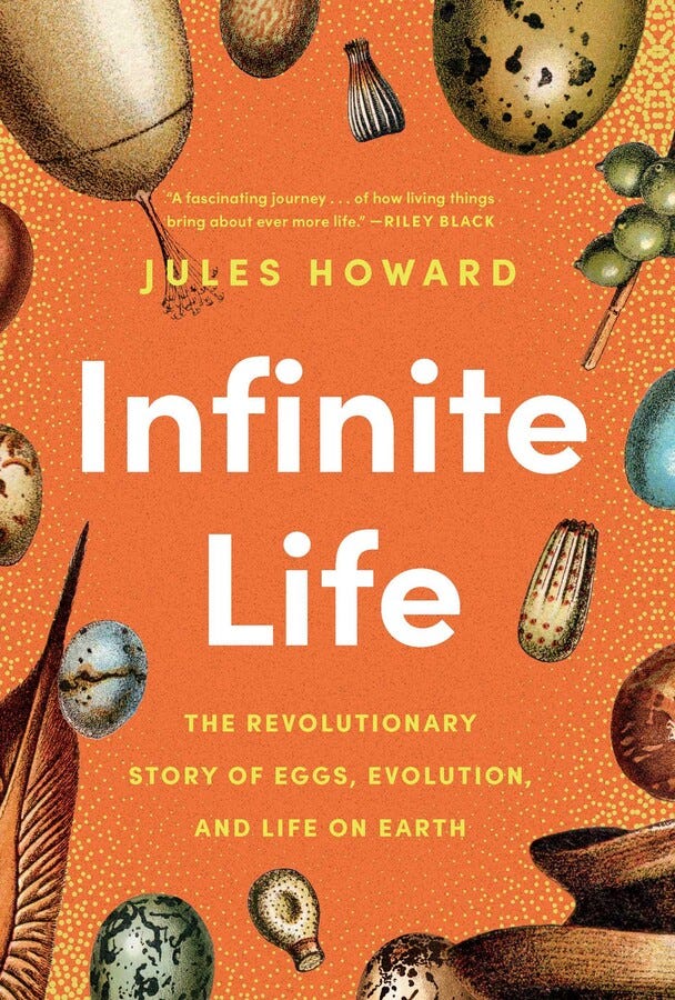 Front cover of 'Infinite Life'