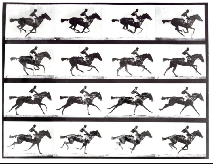 Eadweard Muybridge, The Horse in Motion (1878) is perhaps one the best examples of true documentary photography. In part because it is a series of photos of the exact same image presented as a single image. He is known as the Godfather of Motion Pictures.