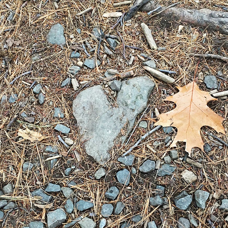 Separating the Ego Mind From Your True Self - BEST SELF