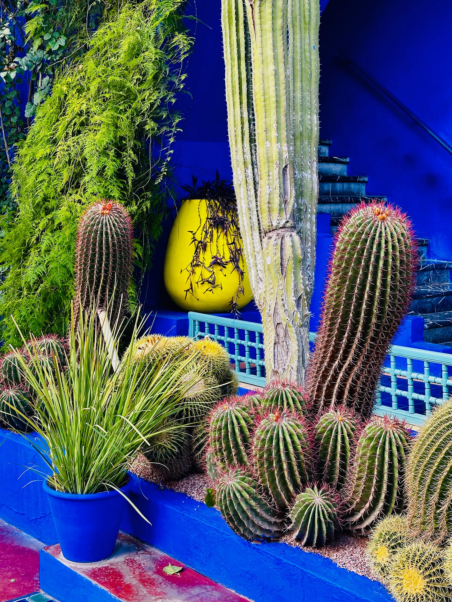 Jardin Majorelle, Marrakesh, Morocco 