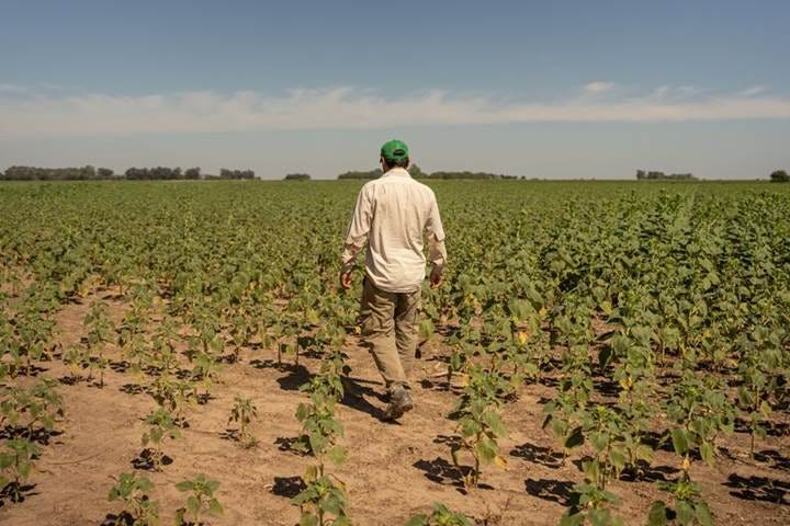 Historic Drought Plummets Argentina's Exports and Forces Reserves Target Revision