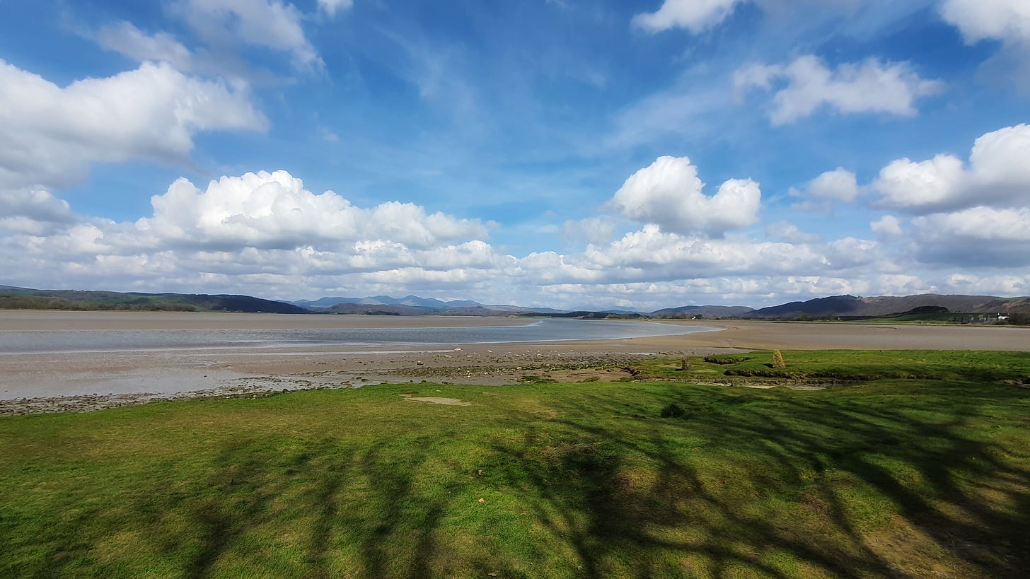 A panorama of the estuary, tide going out. Blue sky and white fluffy clouds. Green salt marsh in the foreground