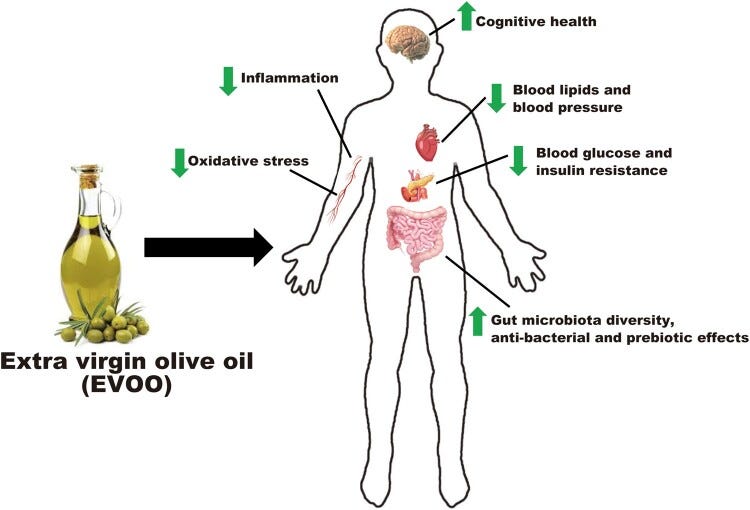 An infographic illustrating the health benefits of extra virgin olive oil (EVOO). A bottle of EVOO is linked to a human silhouette with markers indicating decreased inflammation and oxidative stress, improved cognitive health, better blood lipid and blood pressure levels, reduced blood glucose and insulin resistance, and increased gut microbiota diversity with antibacterial and prebiotic effects.