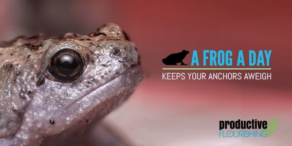 Gray frog with big black eyes on a red background. Text overlay: A Frog a Day Keeps Your Anchors Aweigh