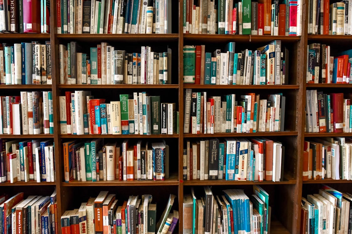 Free Vibrant library scene featuring wooden bookshelves filled with various books. Stock Photo