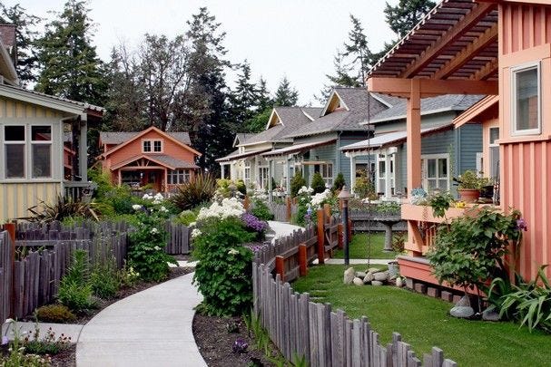 This may contain: several houses are lined up along a path