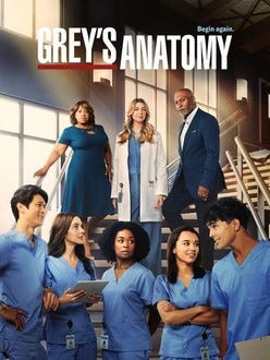 Grey’s anatomy poster featuring surgeons (at the top): Dr Bailey, Dr Grey and Dr Webber. And the 4 surgical interns, Dr Adams in bottom left