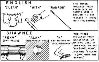 Linguistic relativity - Wikipedia