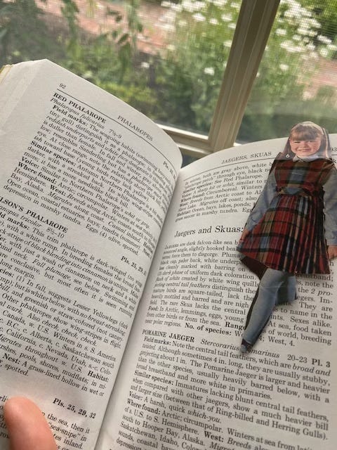 A cut out girl modeling a dress from an old Sears catalog, in the pages of a field guide to birds, as a bookmark. A window with daisies outside visible in background.