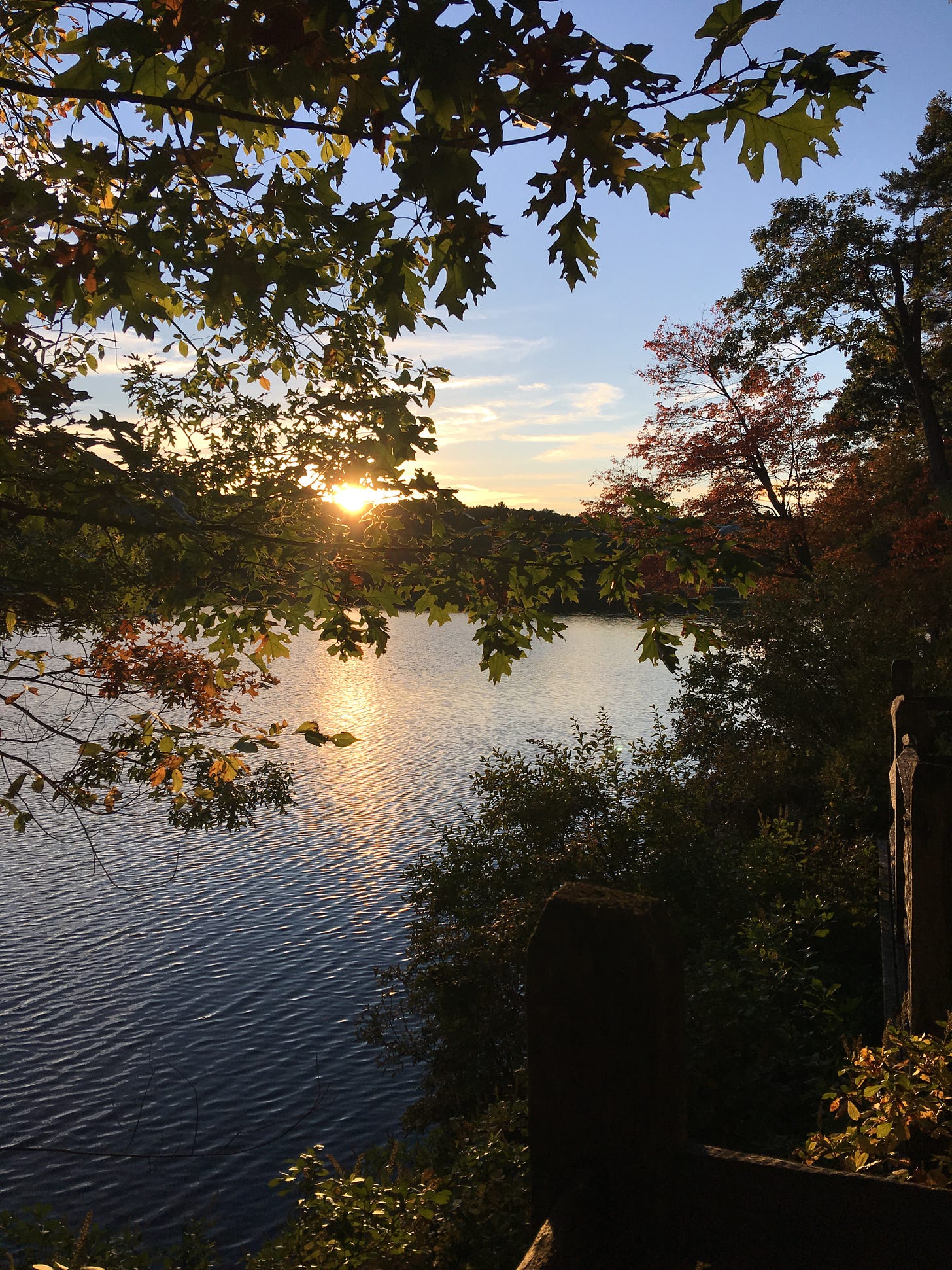 The sun setting above a lake, seen through green and red tree leaves