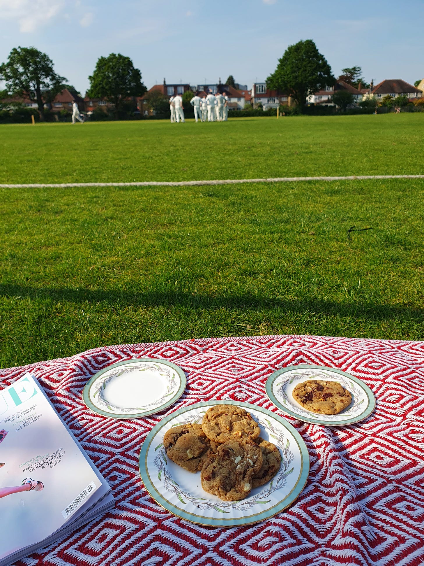 A plate of biscuits and a magazine are on a patterned rug on a bright sunny day, in the distance are cricket players in their whites