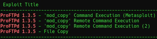 Terminal output of running the searchsploit command.