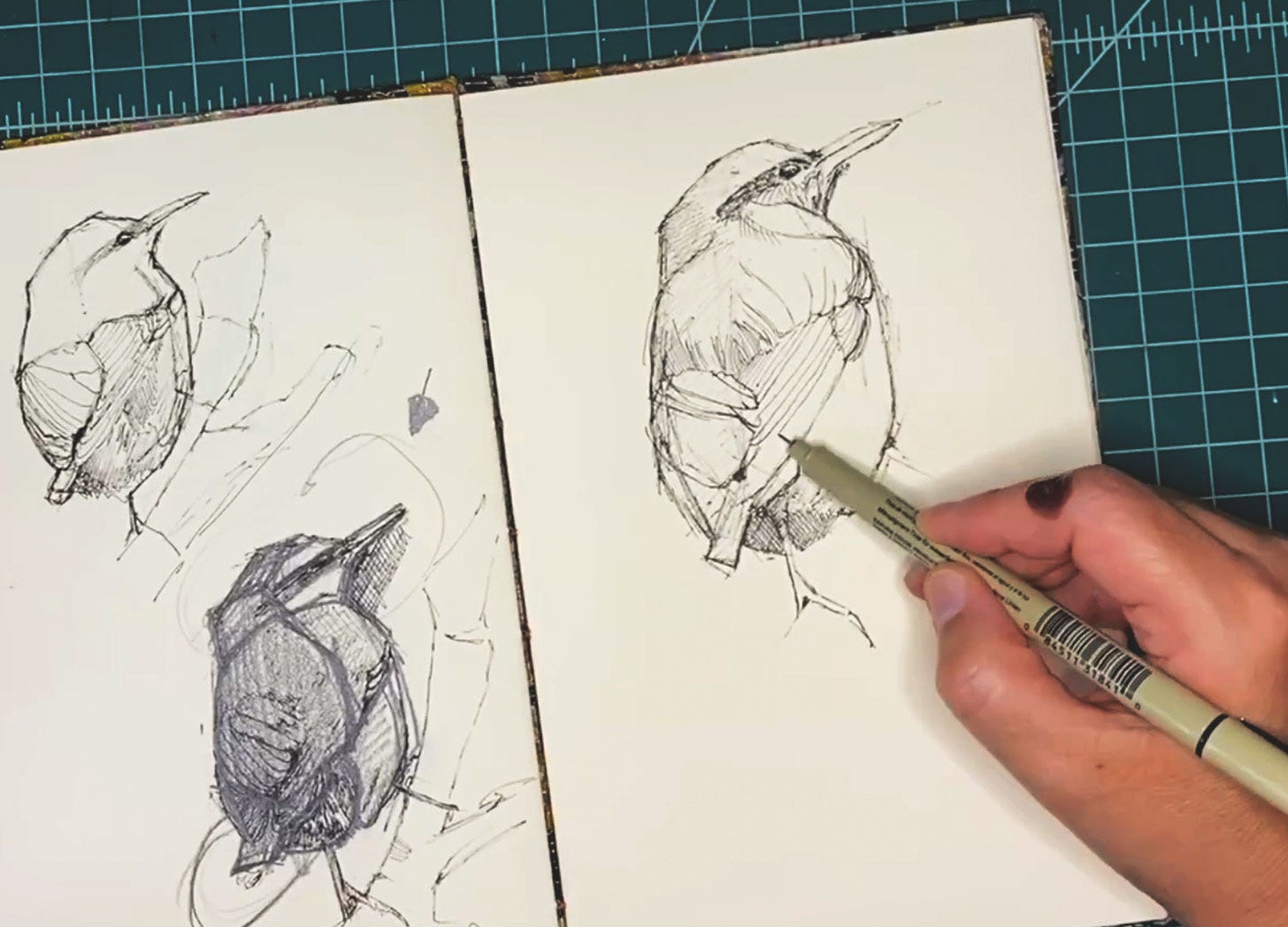 sketching birds with a technical pen