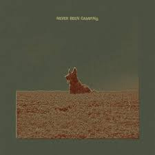 Never Been Camping | camping