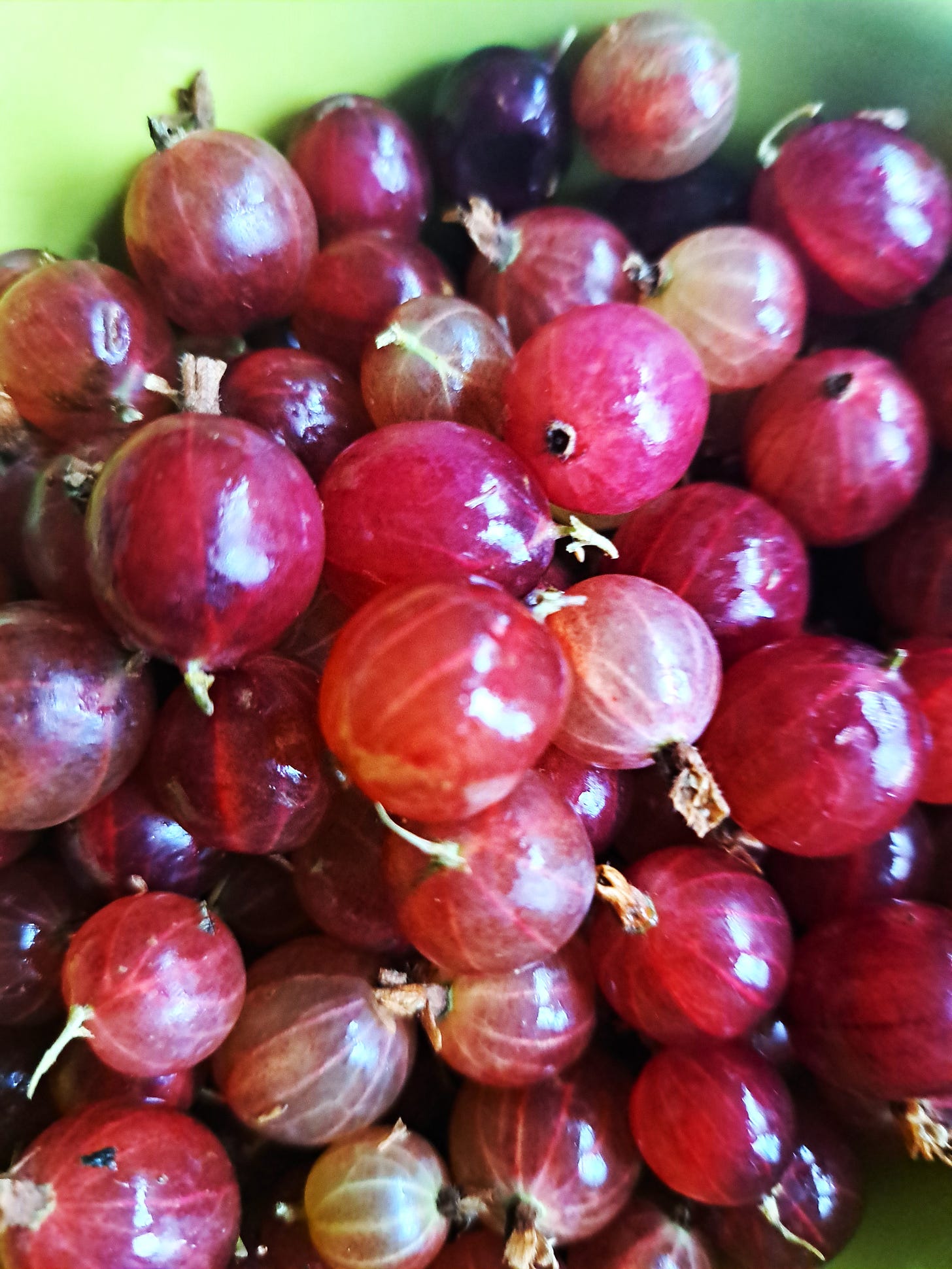 Red gooseberries, Wimbledon Farmers Market