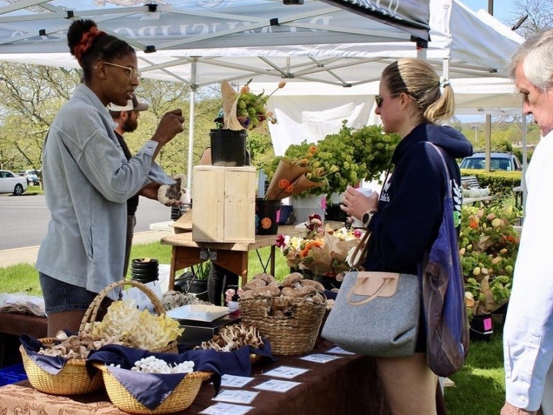 Wednesday farmers market opens on Memorial Boulevard for the season on May 17